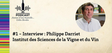 #Podcast - Interview de Philippe Darriet, directeur de l'ISVV, par Gilles Berdin