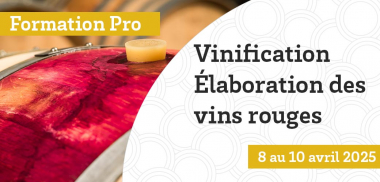 Prochaine formation pro - Vinification - Élaboration des vins rouges