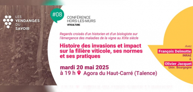 #8 - Les Vendanges du Savoir - Histoire des invasions et impact sur la filière viticole, ses normes et ses pratiques 