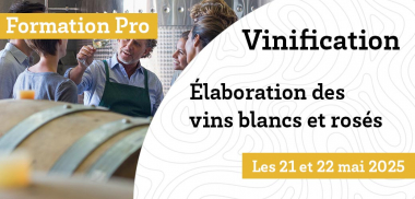 Formation Pro à venir - Vinification - élaboration des vins blancs et rosés