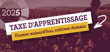  En 2025, Soutenez les métiers de la vigne et du vin en versant votre taxe d’apprentissage à l’ISVV