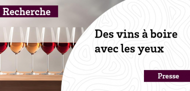 Belle robe vermeille, un peu violette. Bel éclat...