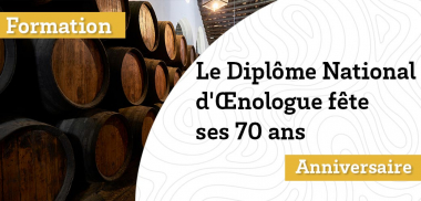 Le Diplôme national d'œnologue fête ses 70 ans