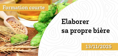 Formation courte - Immersion dans l’univers brassicole