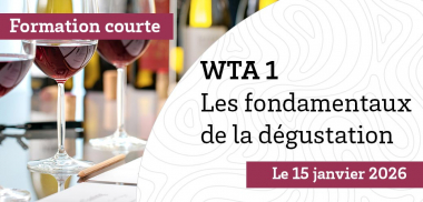 WTA 1 – Niveau initiation, Les fondamentaux de la dégustation