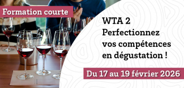 Formation - WTA 2  - Niveau Perfectionnement : Influence de la composition sur la perception du vin