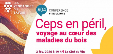 #4 - Les Vendanges du Savoir - Ceps en péril