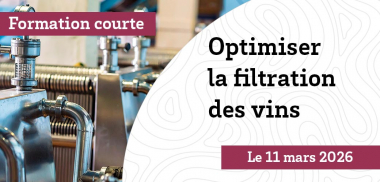 Formation - Optimiser la filtration des vins