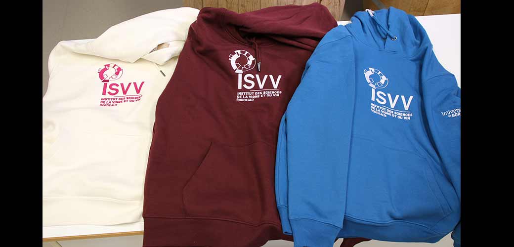 Sweat-shirt capuche unisexe