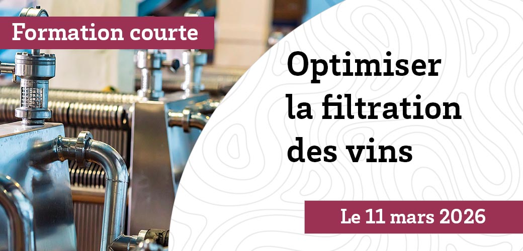 Optimiser la filtration des vins