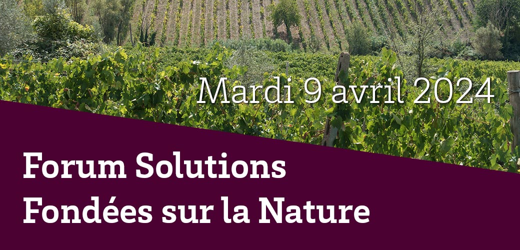 Forum sociétal - Solutions fondées sur la nature au bénéfice des territoires viticoles