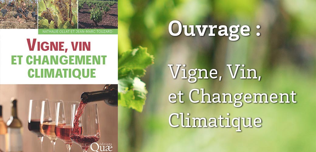 Vin, vigne et changement climatique. : ouvrage co-dirigé par Nathalie Ollat et Jean-Marc Touzard