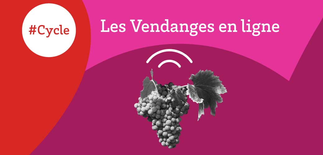 Les Vendanges en ligne