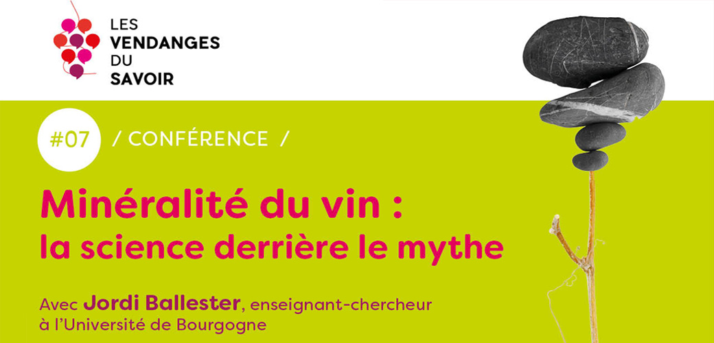 #07 - Les Vendanges du Savoir - La minéralité du vin : la science derrière le mythe