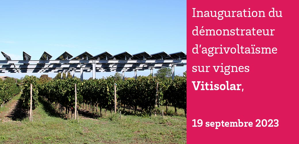 Inauguration du démonstrateur d’agrivoltaïsme sur vignes Vitisolar, le 19 septembre 2023