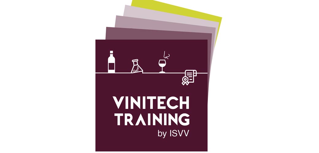 Formation Vinitech Training